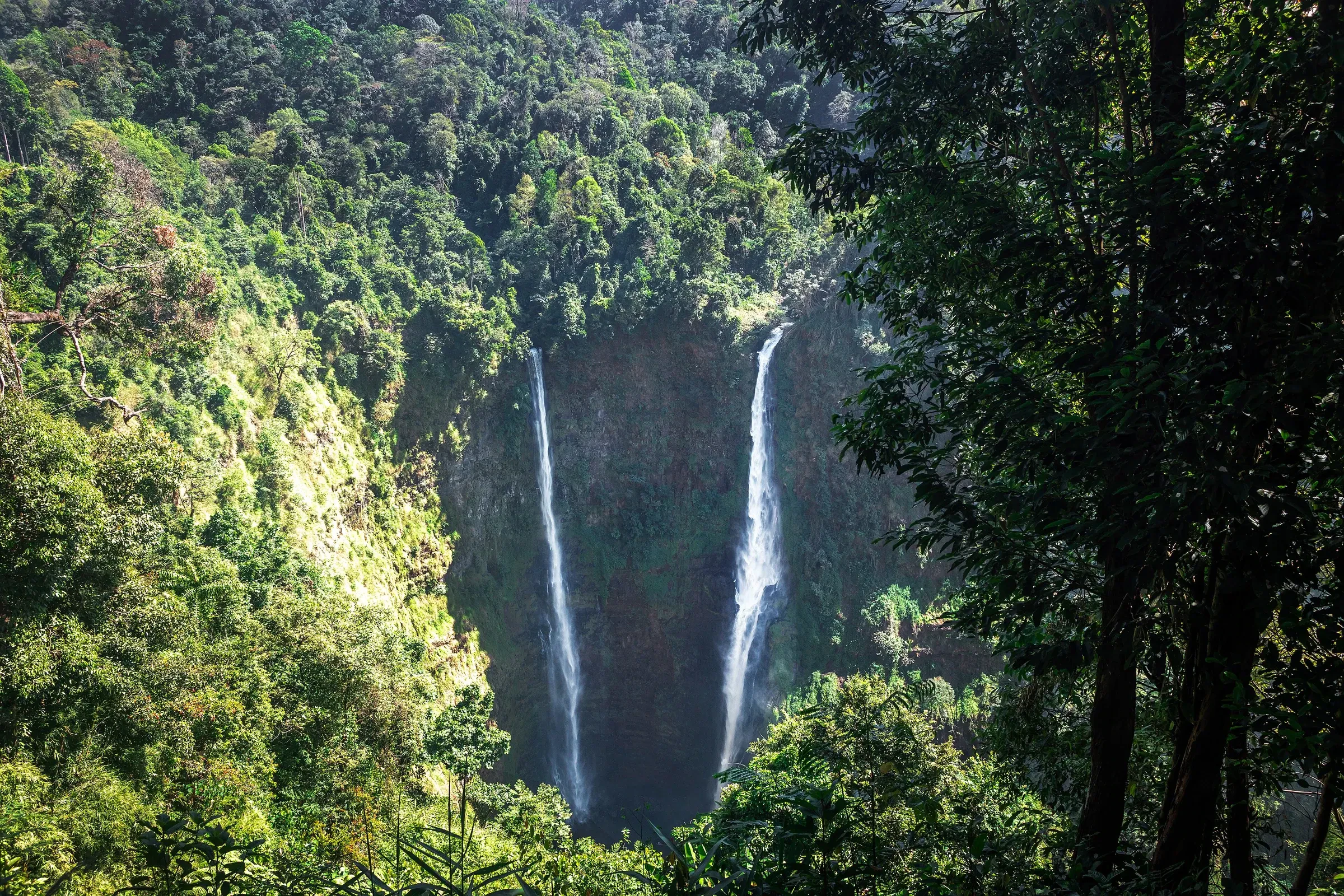 Tad Fane's twin waterfalls dropping into a forested gorge on the Bolaven Plateau