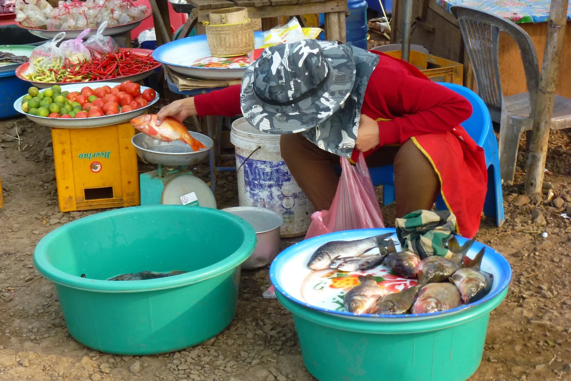 Fish for sale at the market in Paksong, the coffee town on the Bolaven Plateau