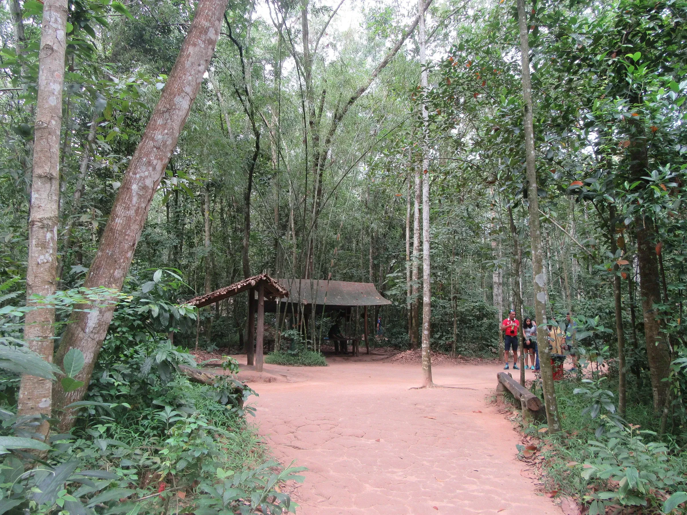 A shaded dirt path through the forest at the Cu Chi tunnels