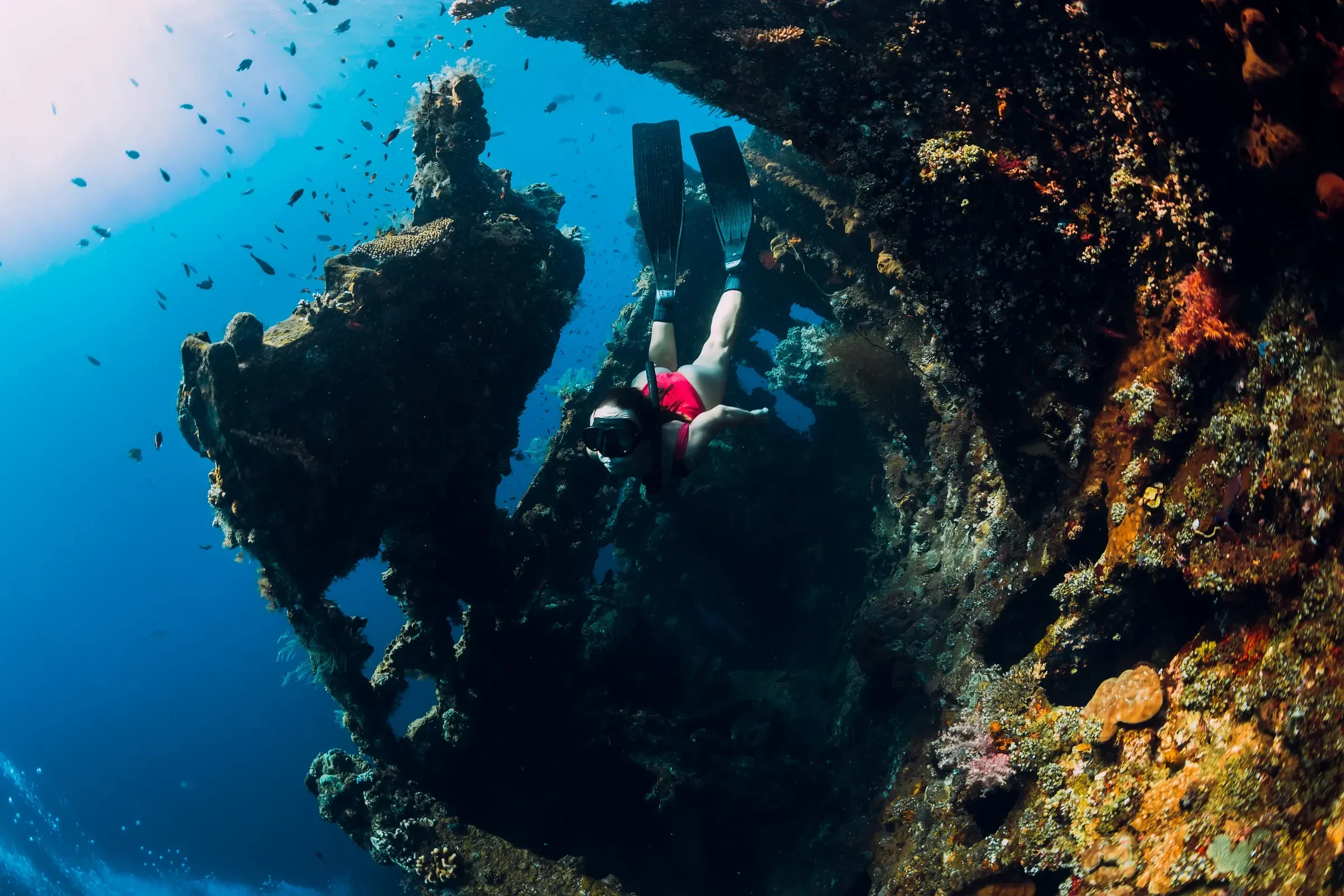 A freediver swimming past a coral-covered shipwreck