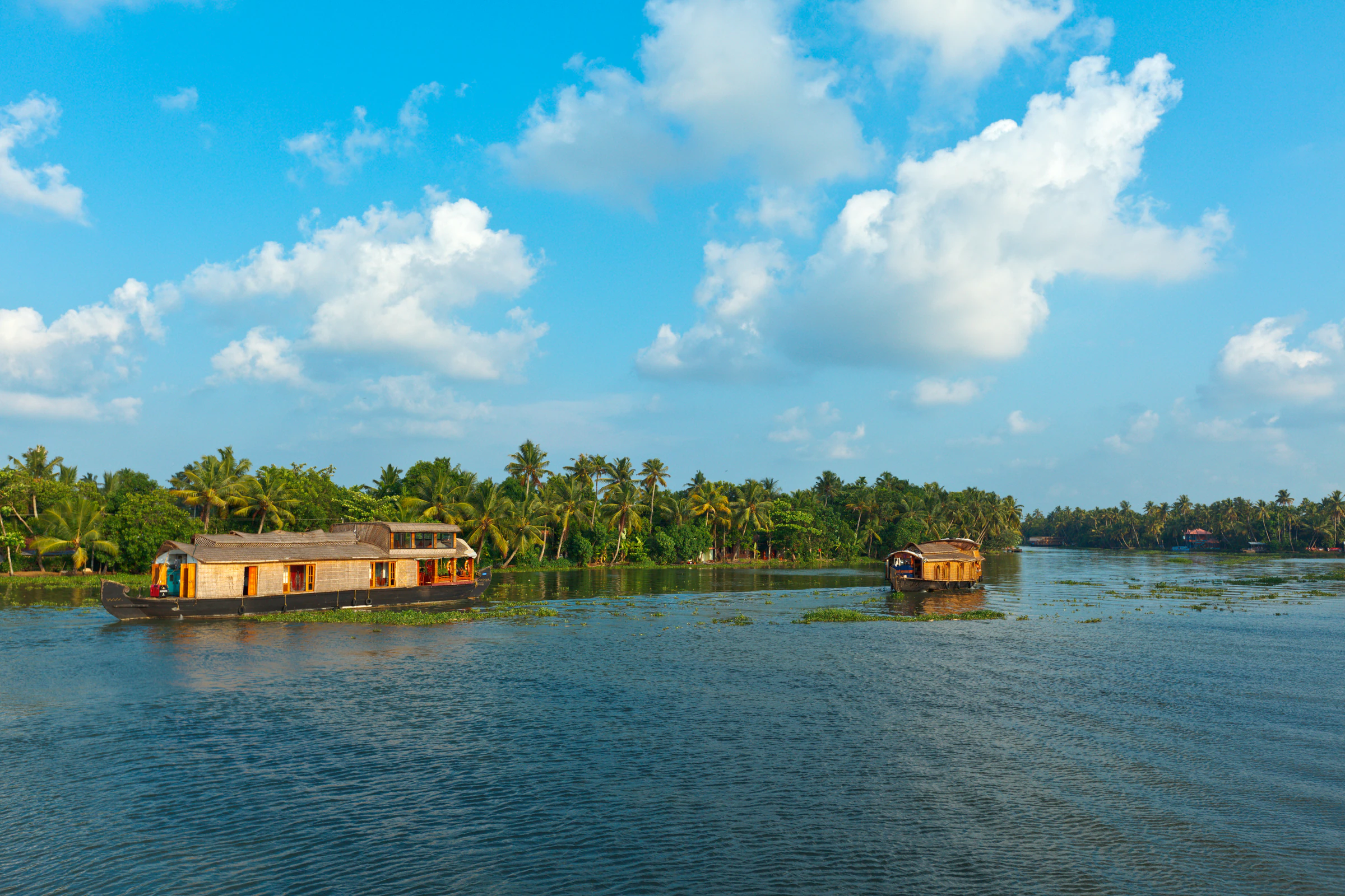 A houseboat cruising Kuttanad's canals at midday