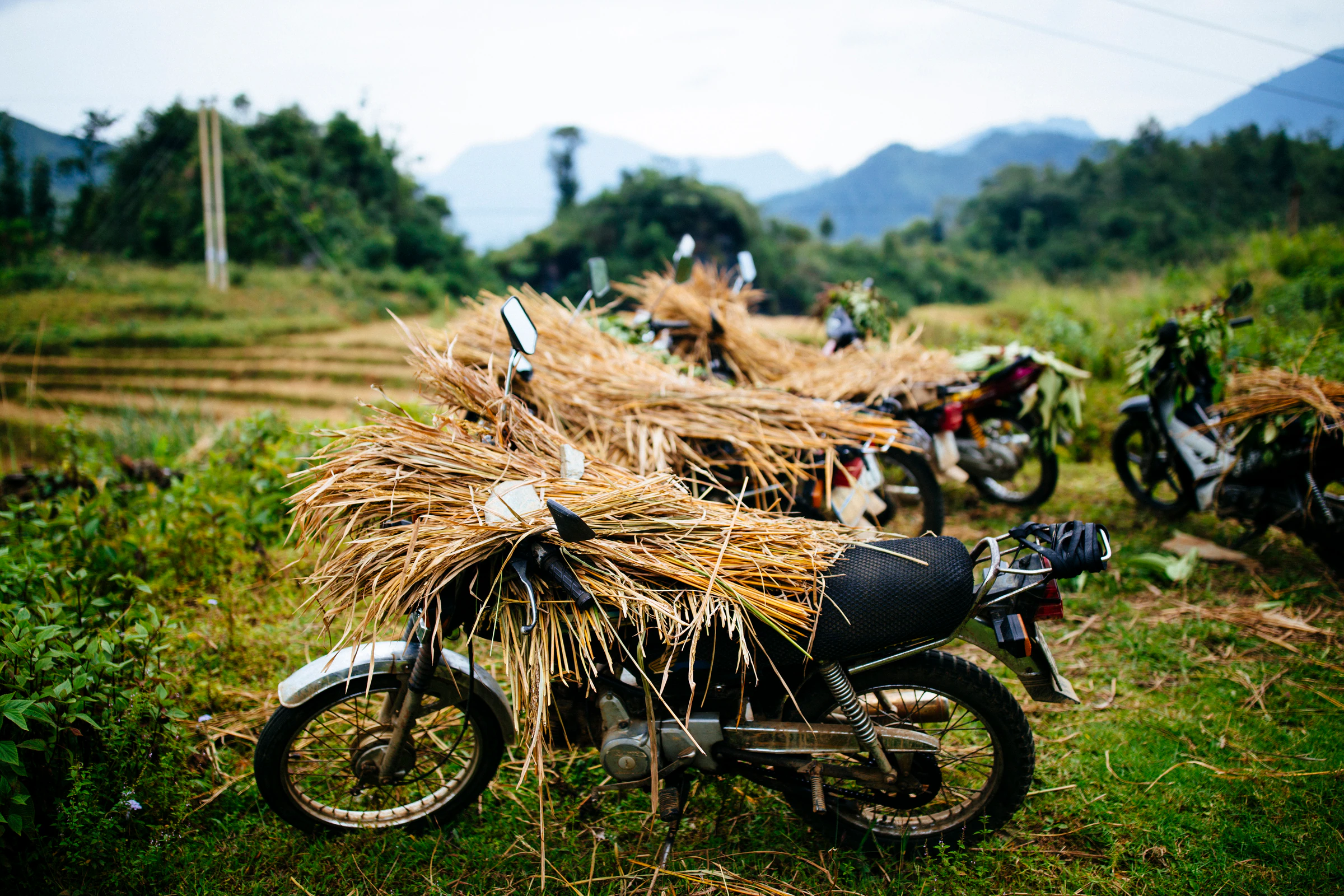 Motorbikes parked by rice fields in the northern mountains