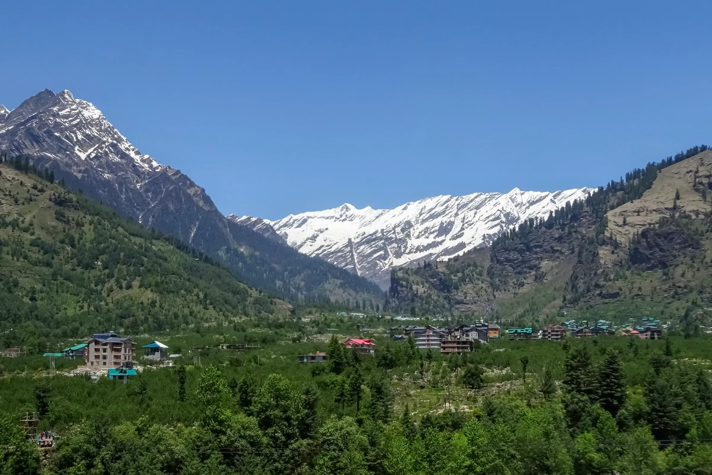 The Kullu Valley near Manali, with pine forest and snow-capped peaks