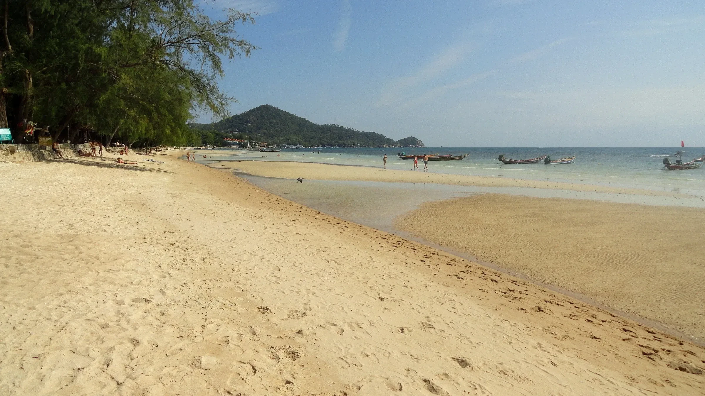 A long stretch of pale sand on Sairee Beach, Koh Tao, with boats resting near the shore