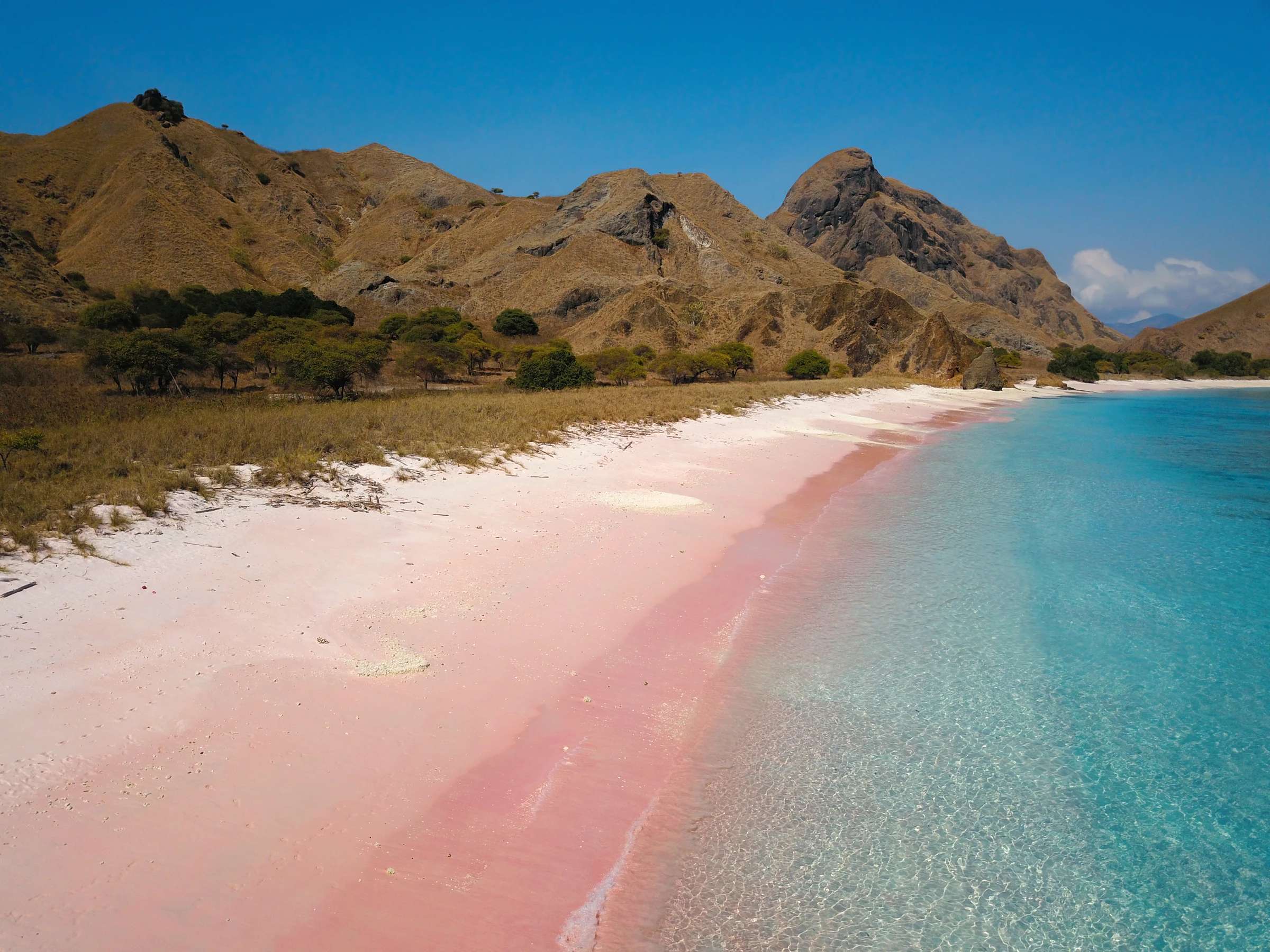 Pale pink sand and clear water at Pink Beach, Komodo