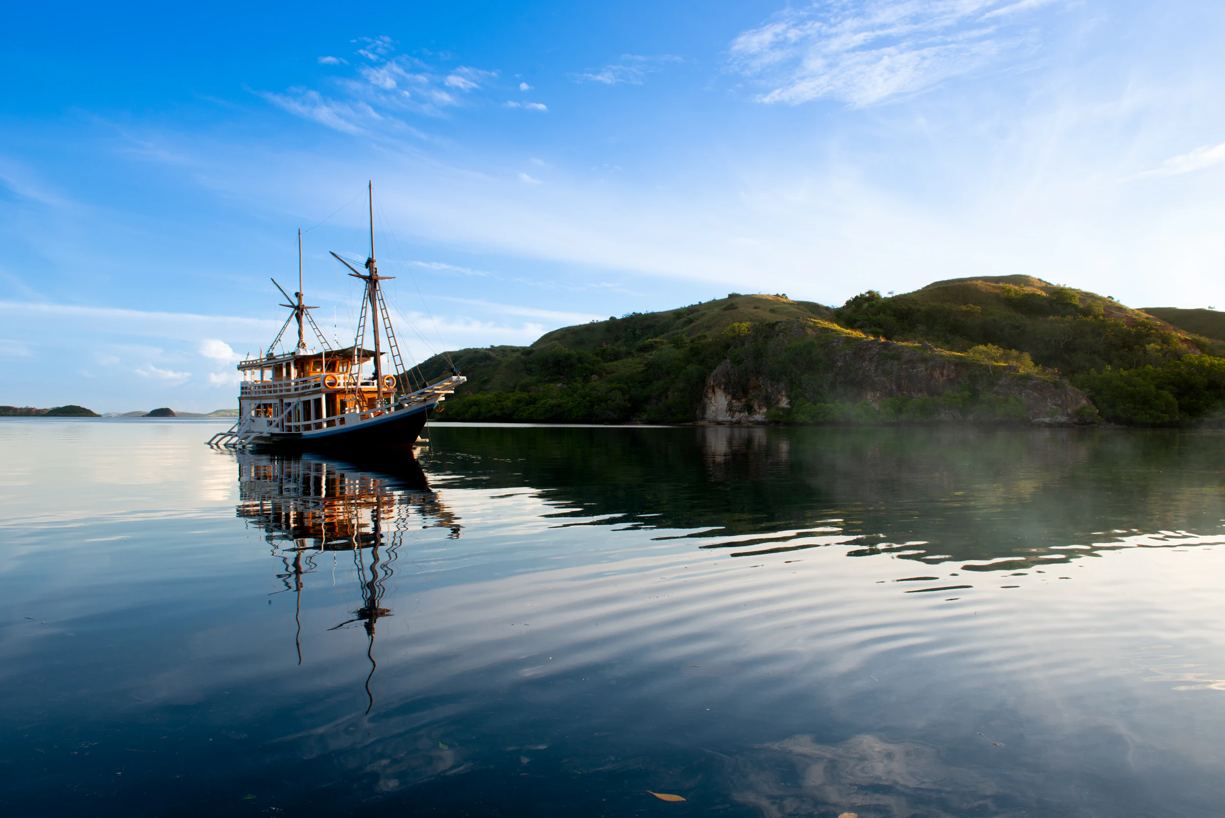 A wooden phinisi anchored in calm water beside a green headland