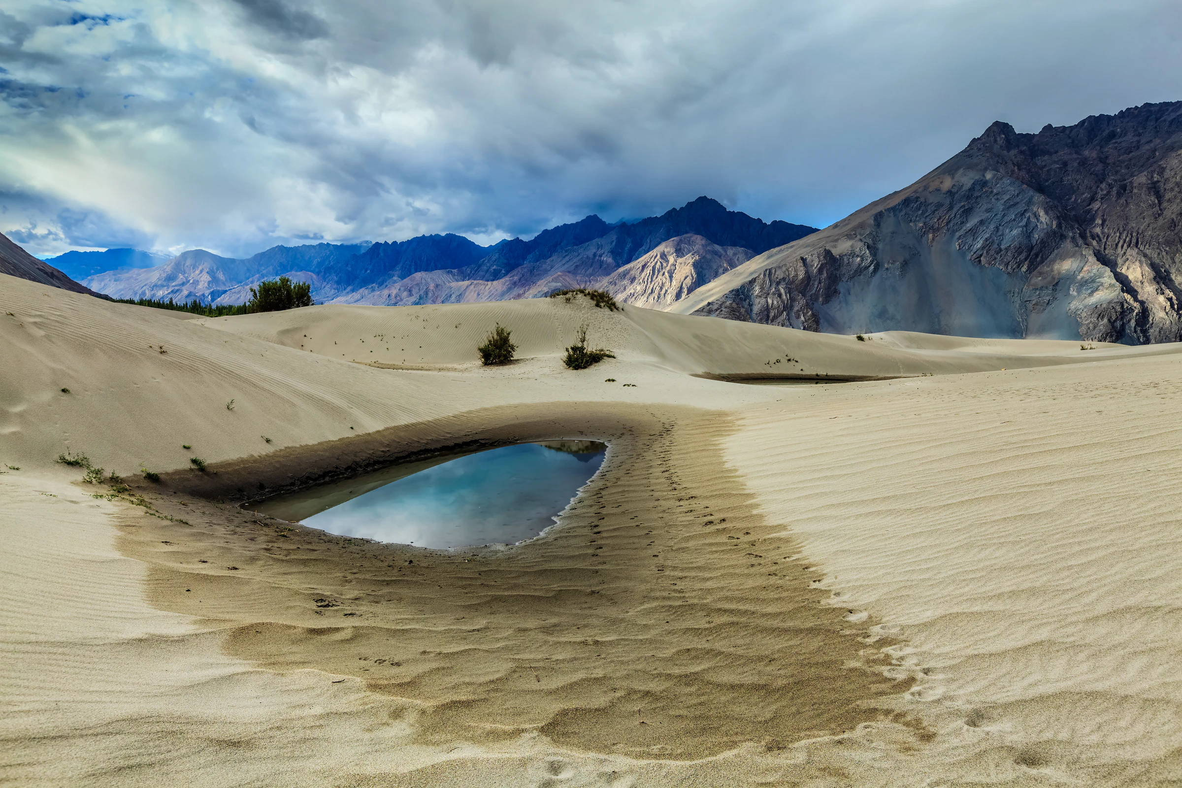The sand dunes at Hunder in the Nubra Valley