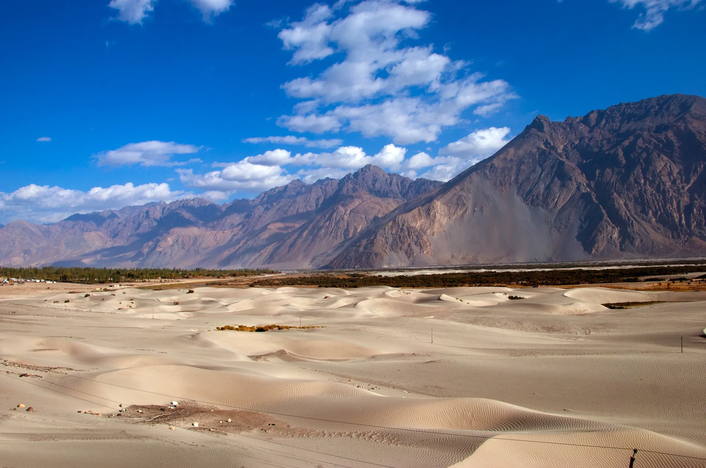 Wide sand dunes at Hunder in Ladakh's Nubra Valley under a blue sky
