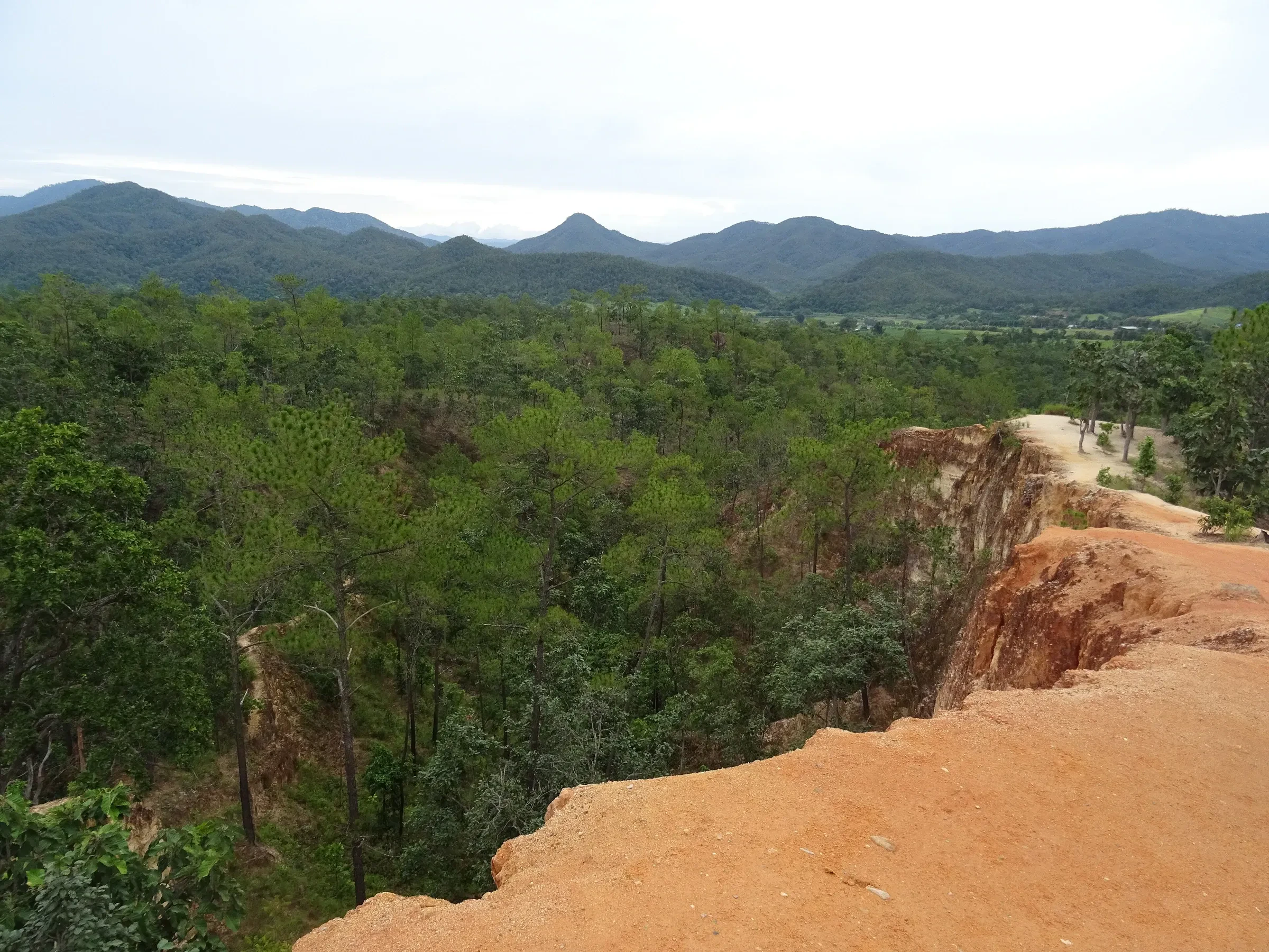 A red-earth ridge at Pai Canyon looking over forested hills