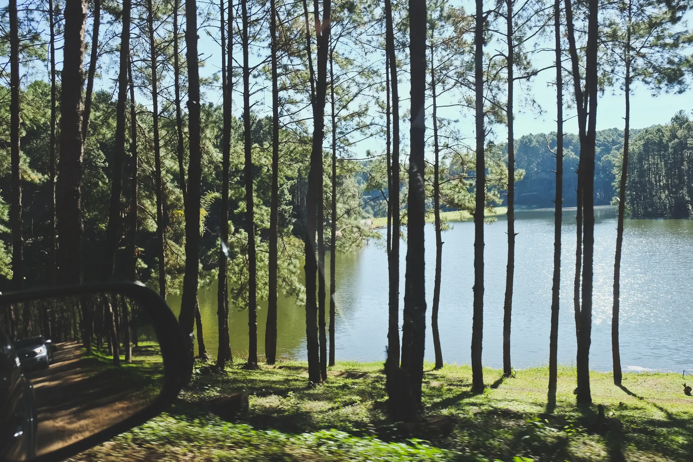 Pine trees on the shore of the forest lake at Pang Ung near Mae Hong Son