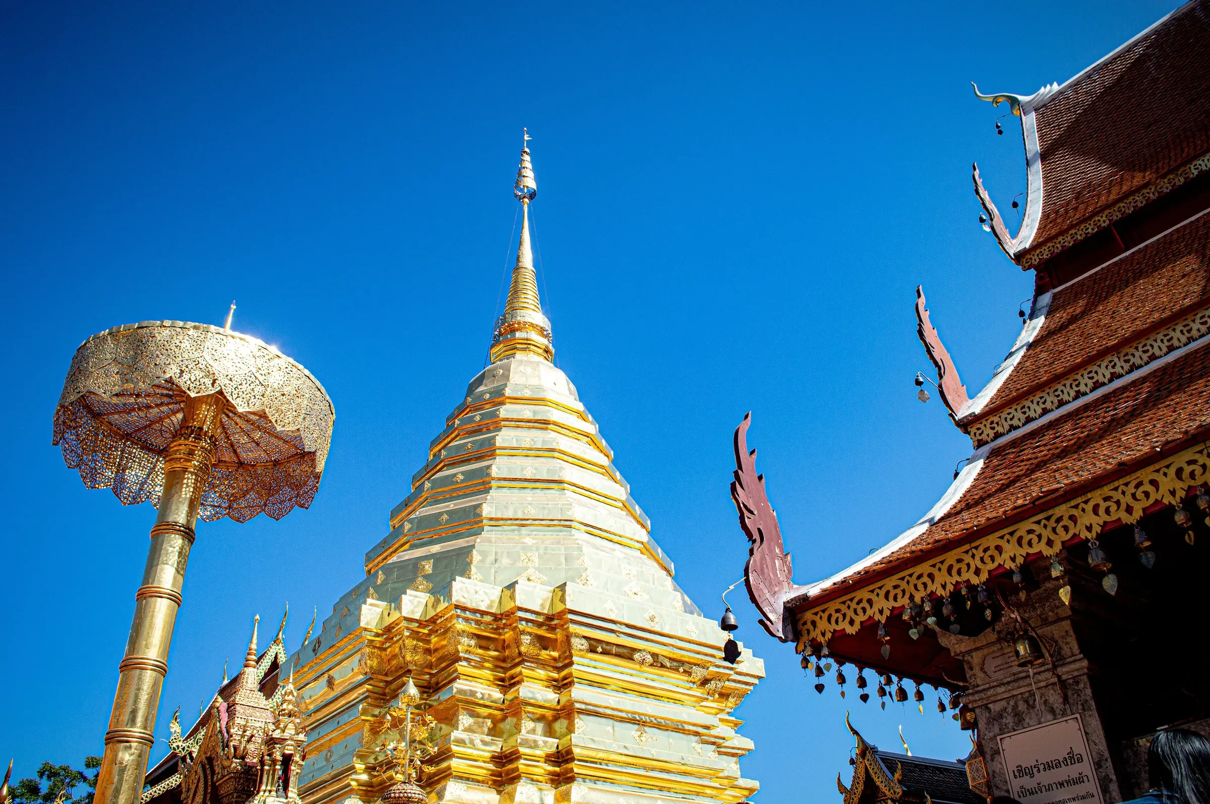 The golden chedi and umbrella at Wat Phra That Doi Suthep above Chiang Mai