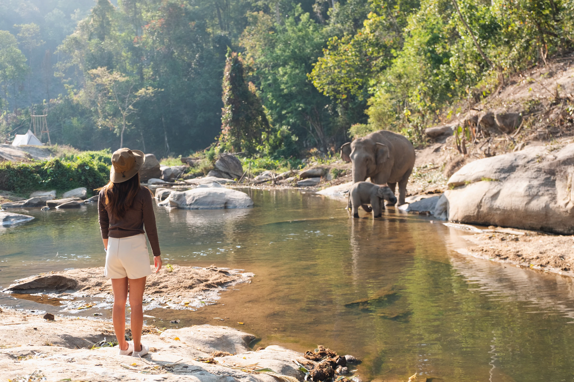 A visitor watching a mother elephant and calf in a river from a distance