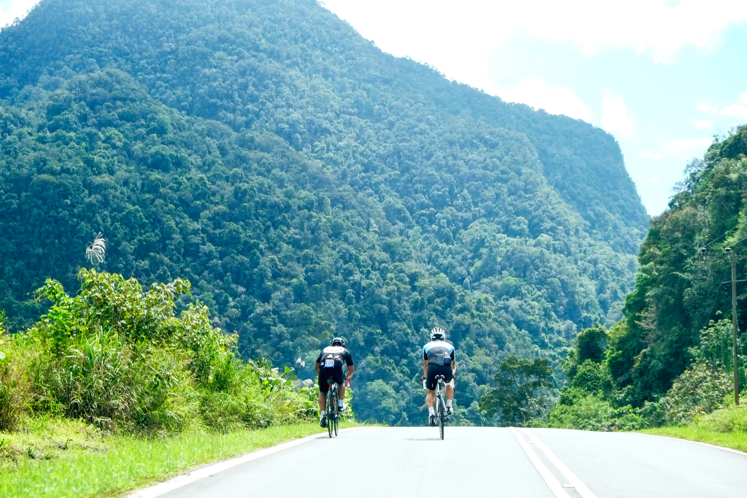 A group of cyclists riding together in a forest