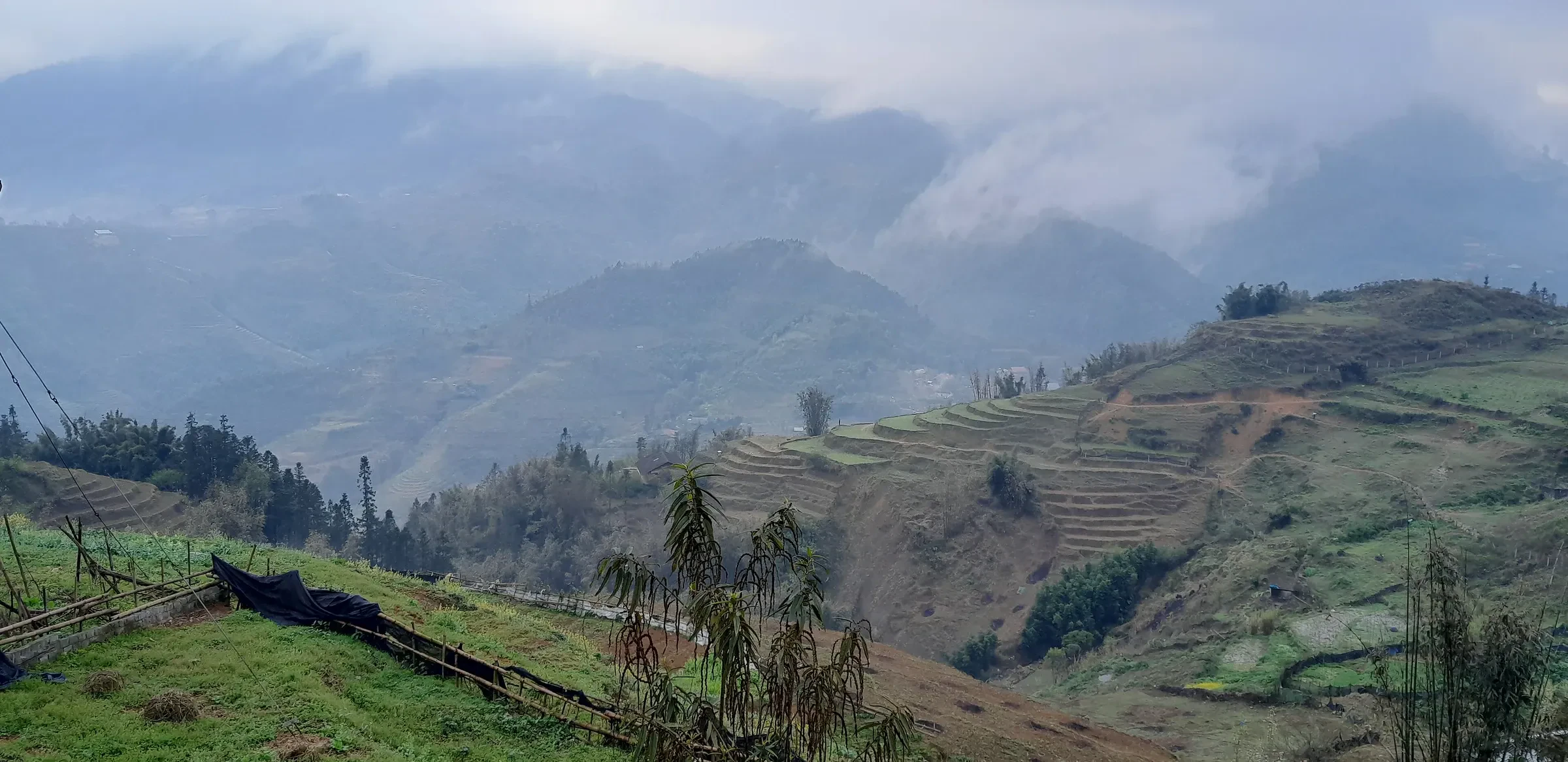 Terraced hillsides in the mist on the Lao Chai to Ta Van walk near Sapa