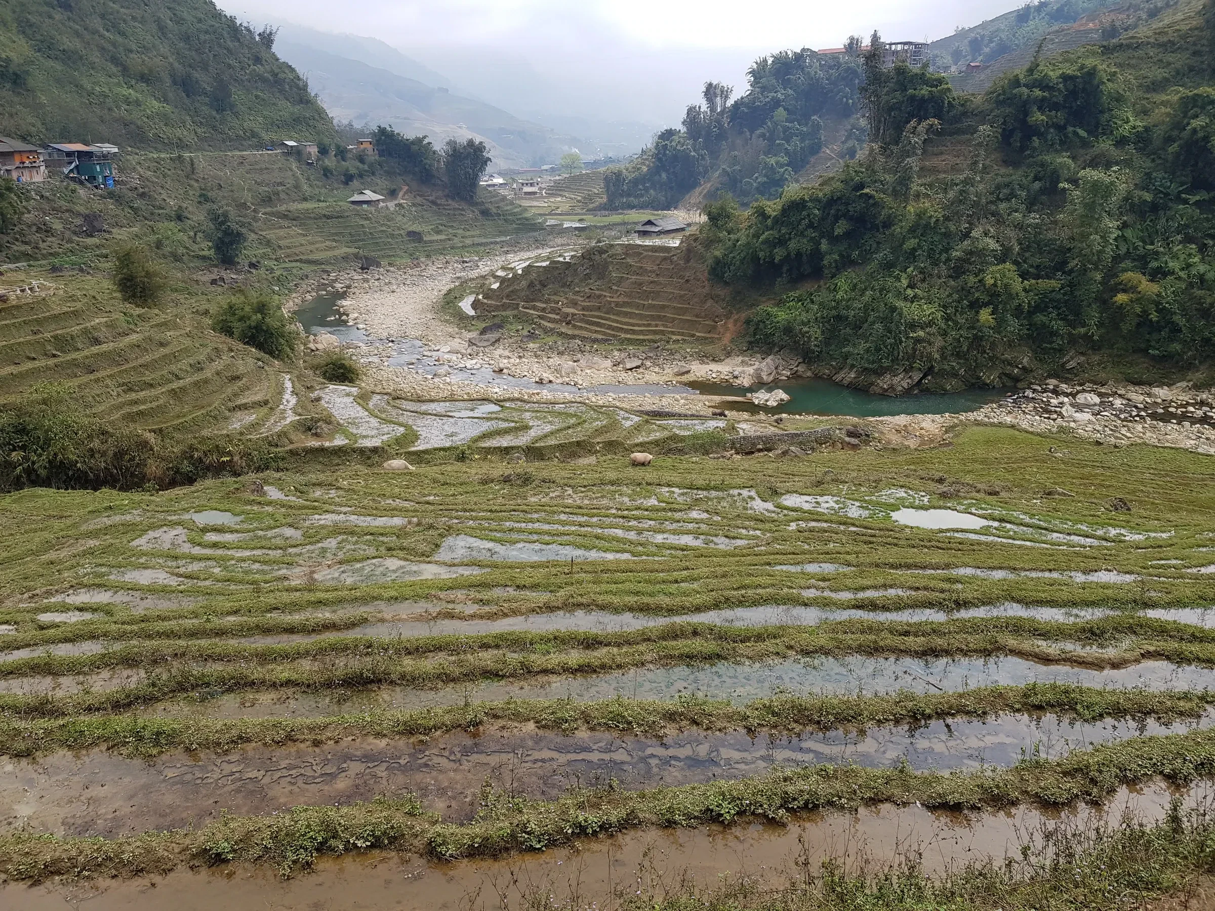 Flooded rice terraces in the Muong Hoa valley near Ta Van