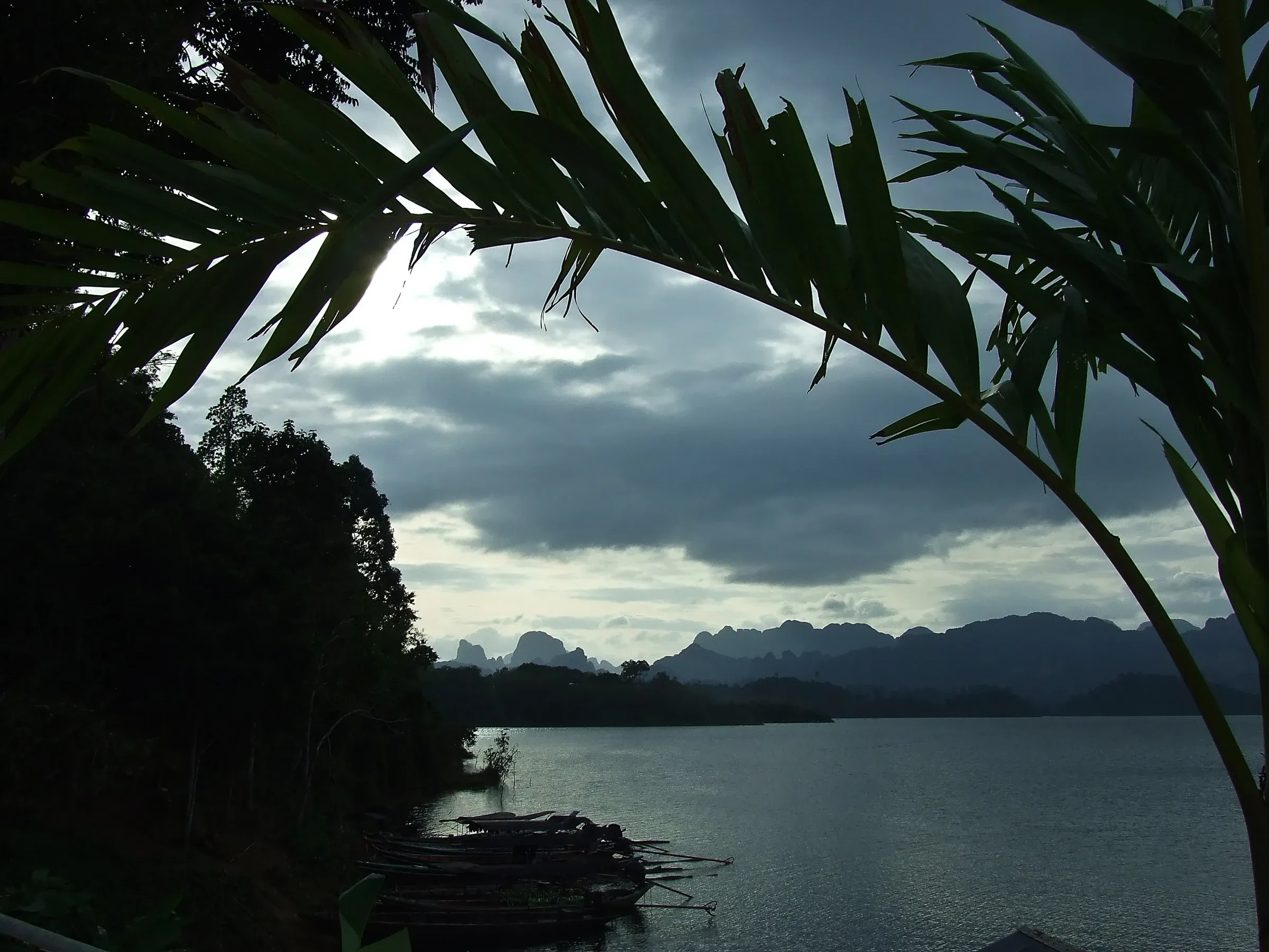 Cheow Lan Lake at dusk, with limestone hills beyond the water and a palm frond in the foreground