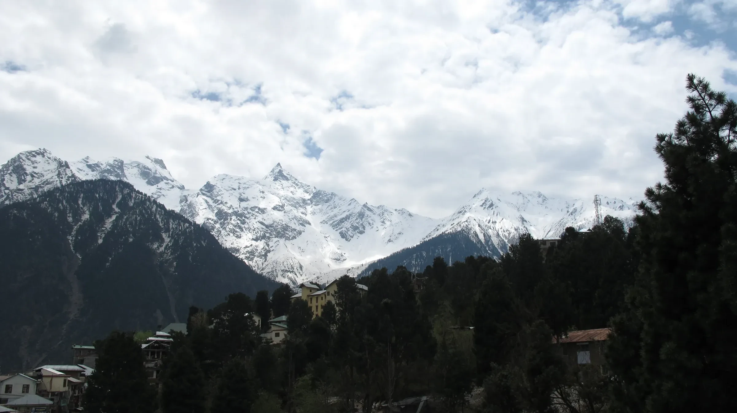Snow covered Kinner Kailash peaks seen from Kalpa through pine trees