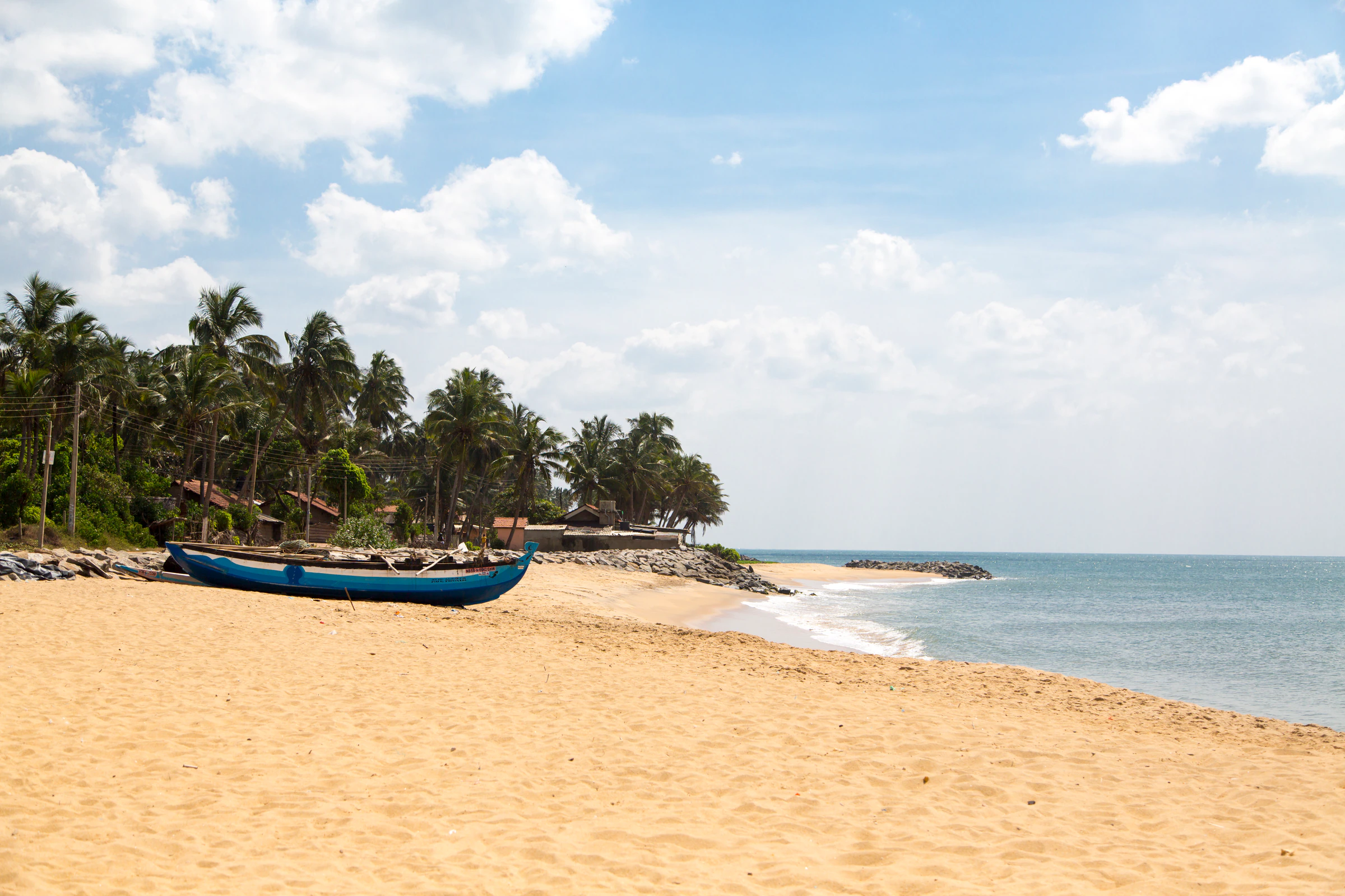 A fishing boat on a sandy beach lined with palms at Negombo