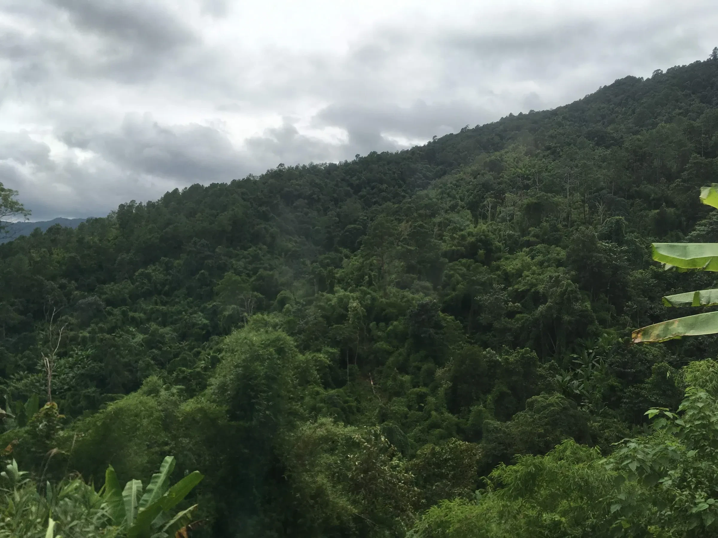 Forested hills in Mae Taeng district, north of Chiang Mai