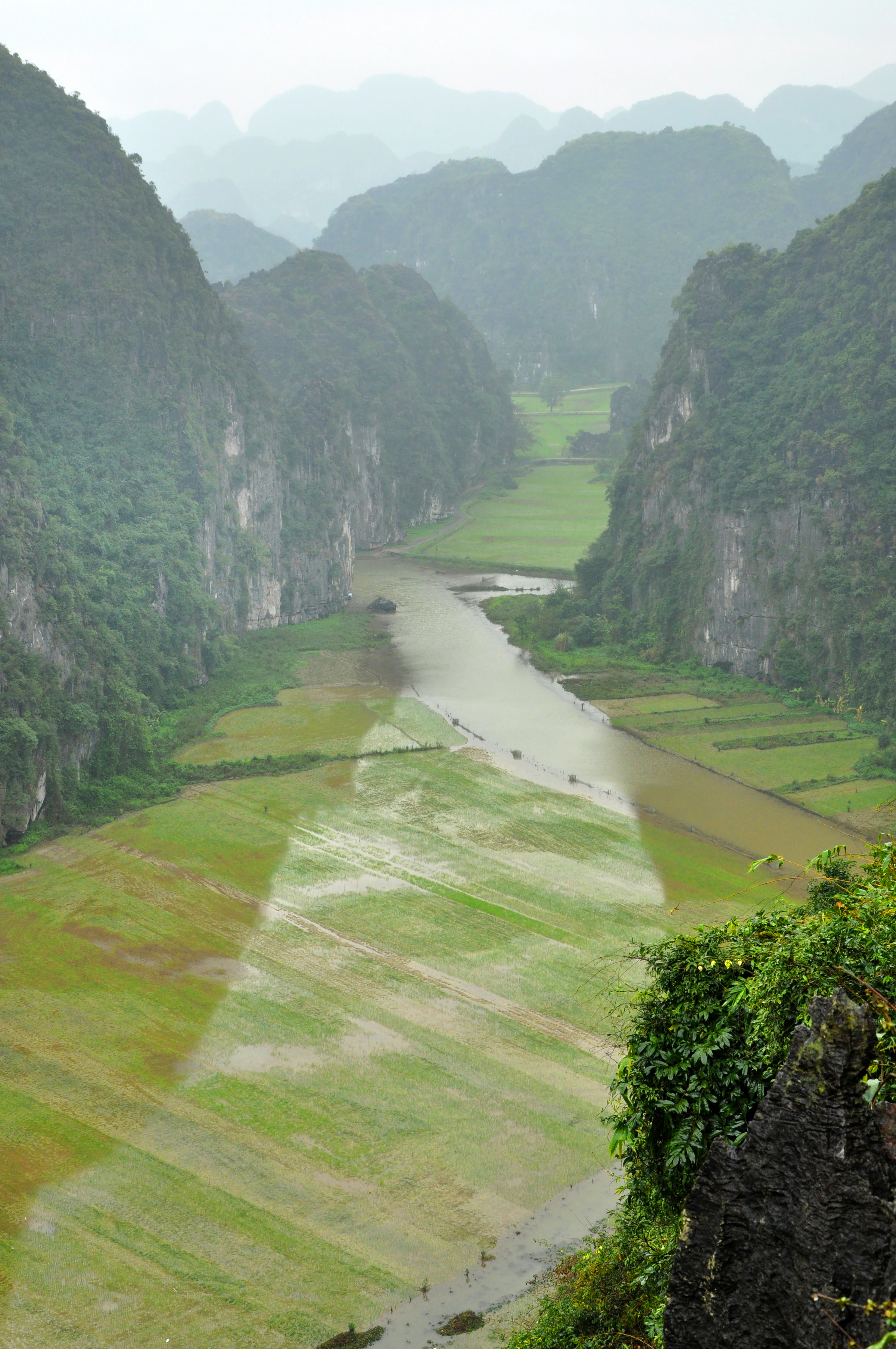 The view from Hang Mua over rice fields and limestone peaks